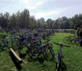 biciclette parcheggiate